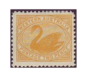 Black Swan (Cygnus atratus) - Western Australia 1905 - 2