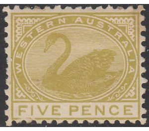 Black Swan (Cygnus atratus) - Western Australia 1909