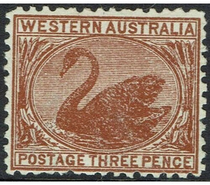 Black Swan (Cygnus atratus) - Western Australia 1912