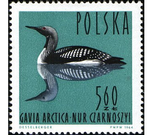 Black-throated Loon (Gavia arctica) - Poland 1964 - 5.60
