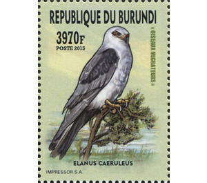 Black-winged Kite (Elanus caeruleus) - East Africa / Burundi 2016