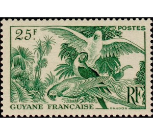 Blue-and-yellow Macaw (Ara ararauna) - South America / French Guiana 1947 - 25