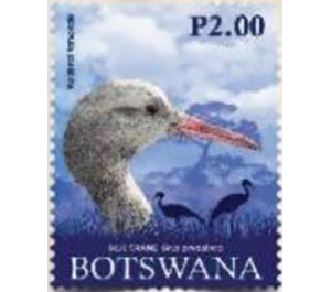 Blue Crane - South Africa / Botswana 2019 - 2