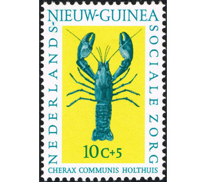 Blue Papuan Freshwater Crayfish (Cherax communis) - Melanesia / Netherlands New Guinea 1962