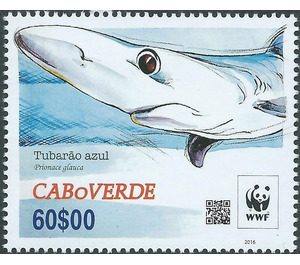 Blue Shark (Prionace glauca) - West Africa / Cabo Verde 2016 - 60
