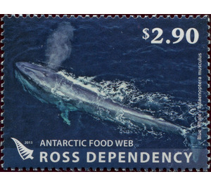 Blue Whale (Balaenoptera musculus) - Ross Dependency 2013 - 2.90