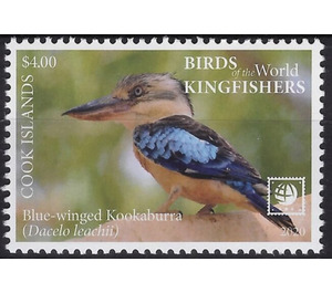 Blue-Winged Kookaburra (Dacelo leachii) - Polynesia / Cook Islands 2020 - 4