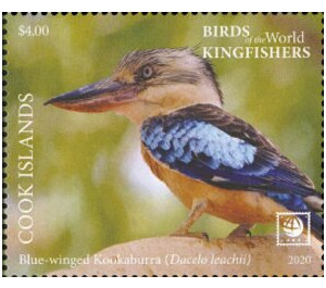 Blue-Winged Kookaburra (Dacelo leachii) - Polynesia / Cook Islands 2020 - 4