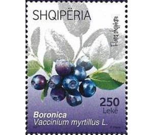 Blueberries - Albania 2017 - 250