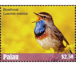 Bluethroat    Luscinia svecica - Micronesia / Palau 2018 - 2.50
