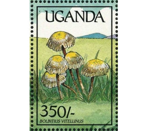Bolbitius vitellinus - East Africa / Uganda 1989 - 350