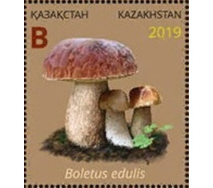Boletus edulis - Kazakhstan 2019