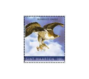 Bonelli's eagle (Aquila fasciata) - Caribbean / Sint Maarten 2020