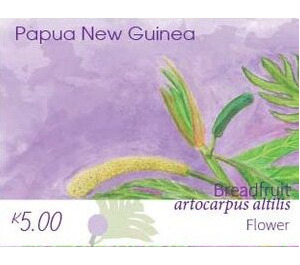 Breadfruit Flower - Melanesia / Papua and New Guinea / Papua New Guinea 2020 - 5