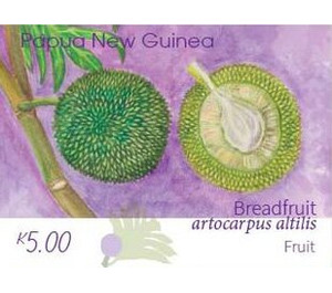 Breadfruit Fruit - Melanesia / Papua and New Guinea / Papua New Guinea 2020 - 5