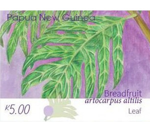 Breadfruit Leaf - Melanesia / Papua and New Guinea / Papua New Guinea 2020 - 5
