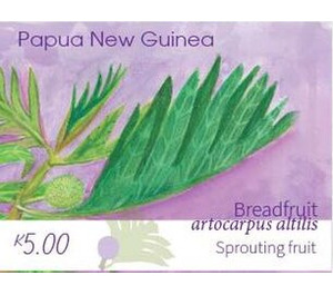 Breadfruit Sprouting Fruit - Melanesia / Papua and New Guinea / Papua New Guinea 2020 - 5