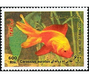 Breed Form of Goldfish (Carassius auratus auratus) - Iran 2004 - 600