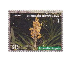 Bromelia pinguin - Caribbean / Dominican Republic 2019 - 15