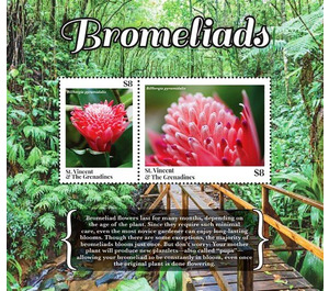 Bromeliads - Caribbean / Saint Vincent and The Grenadines 2020