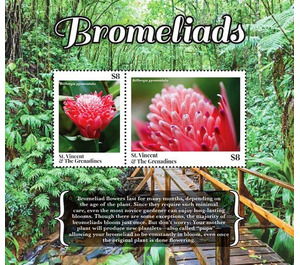 Bromeliads - Caribbean / Saint Vincent and The Grenadines 2020