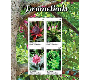 Bromeliads - Caribbean / Saint Vincent and The Grenadines 2020