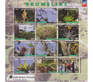 Bromelias - Caribbean / Dominican Republic 2019