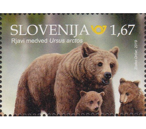 Brown Bear - Slovenia 2019 - 1.67