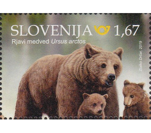 Brown Bear - Slovenia 2019 - 1.67