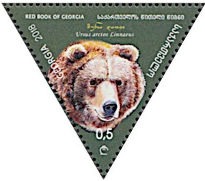 Brown bear (Ursus arctos Linnaeus) - Georgia 2018 - 0.50