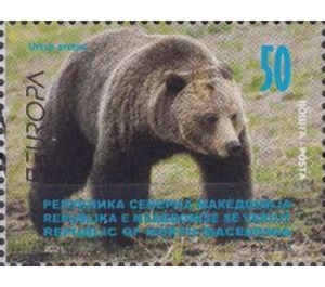 Brown Bear (Ursus arctos) - Macedonia / North Macedonia 2021 - 50
