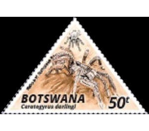 Burst Horned Baboon Tarantula (Ceratogyrus darlingi) - South Africa / Botswana 2020 - 50