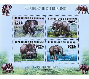 Burundi's Fauna - East Africa / Burundi 2017