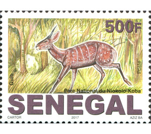 Bushbuck (Tragelaphus scriptus) - West Africa / Senegal 2017
