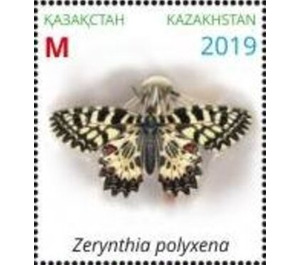 Butterflies of Kazakhstan - Kazakhstan 2019