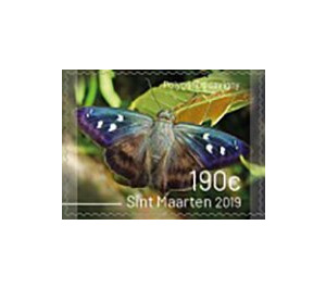 Butterflies of Sint Maarten - Caribbean / Sint Maarten 2019 - 190