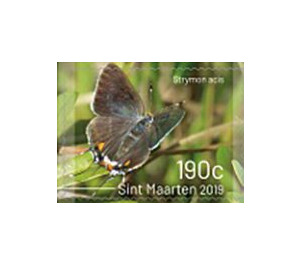 Butterflies of Sint Maarten - Caribbean / Sint Maarten 2019 - 190