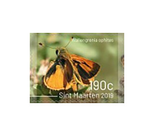 Butterflies of Sint Maarten - Caribbean / Sint Maarten 2019 - 190