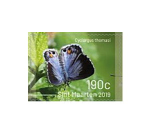 Butterflies of Sint Maarten - Caribbean / Sint Maarten 2019 - 190