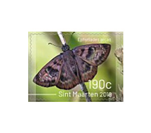 Butterflies of Sint Maarten - Caribbean / Sint Maarten 2019 - 190