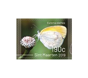 Butterflies of Sint Maarten - Caribbean / Sint Maarten 2019 - 190