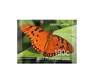 Butterflies of Sint Maarten - Caribbean / Sint Maarten 2019 - 190