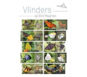 Butterflies of Sint Maarten - Caribbean / Sint Maarten 2019