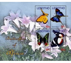 Butterflies - South Africa / Lesotho 2007