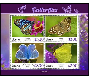 Butterflies - West Africa / Liberia 2021
