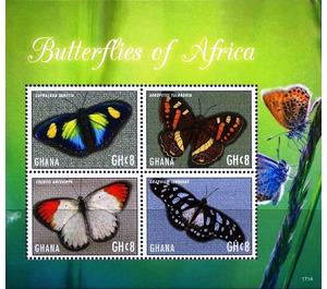 Buttterflies of Africa - West Africa / Ghana 2017