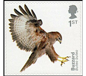 Buzzard (Self Adhesive) - United Kingdom 2019