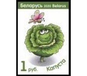 Cabbage - Belarus 2020 - 1