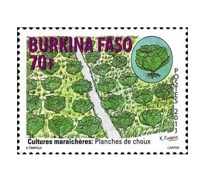 Cabbage - West Africa / Burkina Faso 2011 - 70