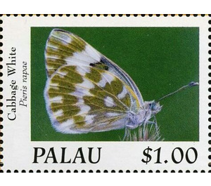 Cabbage White (Pieris rapae) - Micronesia / Palau 2020